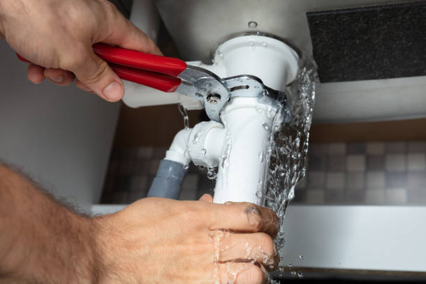 Best Local water damage restoration  in Oro Valley, AZ