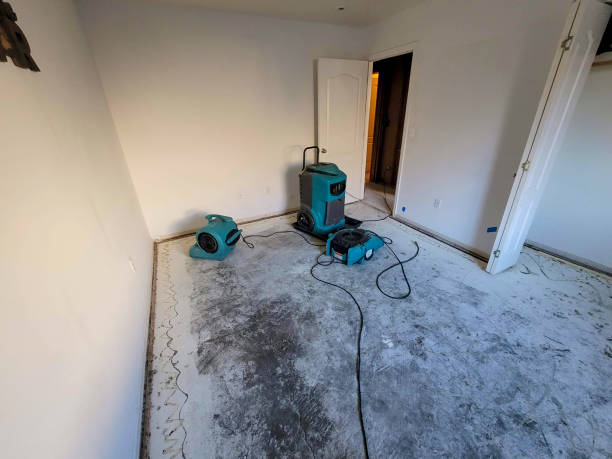 Best 24-hour water damage restoration  in Oro Valley, AZ