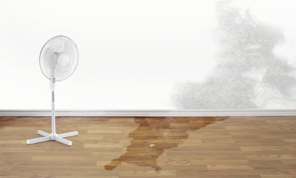  Oro Valley, AZ Water damage restoration Pros
