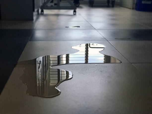 Best Water damage repair service  in Oro Valley, AZ