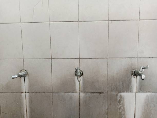 Best Fire Damage Restoration  in Oro Valley, AZ