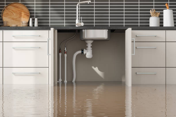 Best Sewage cleanup and water damage restoration  in Oro Valley, AZ