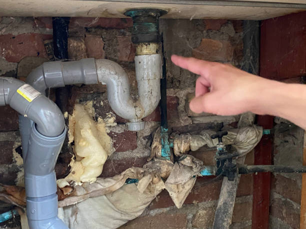 Best Carpet water damage restoration  in Oro Valley, AZ