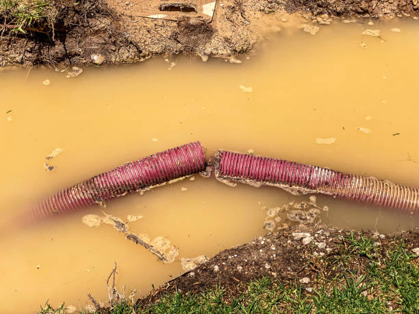 Best Water damage restoration near me  in Oro Valley, AZ
