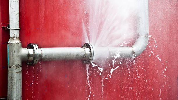 Best Local water damage restoration  in Oro Valley, AZ